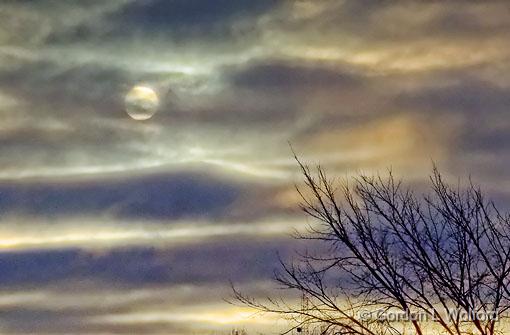 The Forecast - Clear Skies_DSCF03440.jpg - Photographed at Smiths Falls, Ontario, Canada.